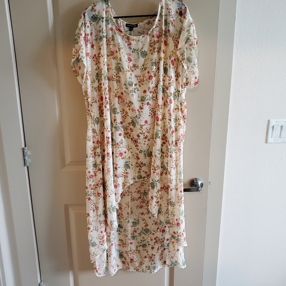 4 for 25$ Sheer Tunic Blouse